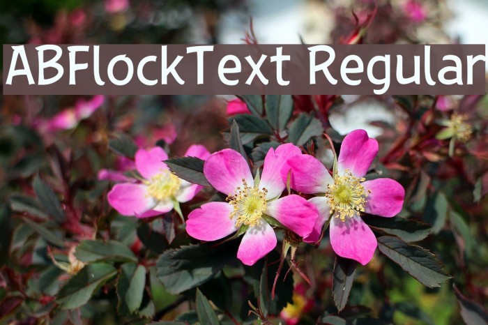 ABFlockText Regular Font examples