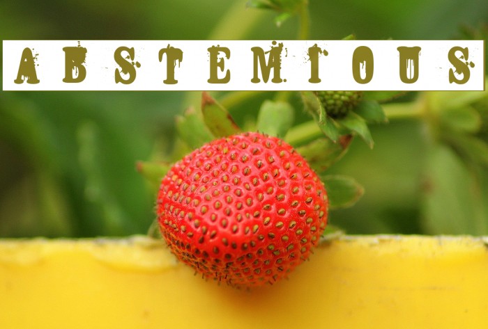 ABSTEMIOUS Font examples