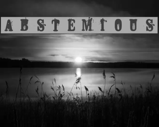 ABSTEMIOUS Font examples