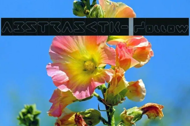 ABSTRASCTIK- Hollow Example 1
