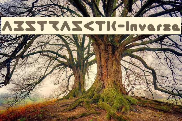 ABSTRASCTIK-Inverse Fonte examples