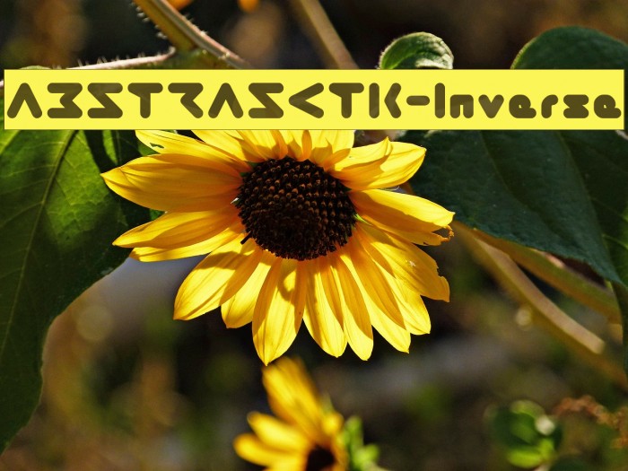 ABSTRASCTIK-Inverse Fonte examples