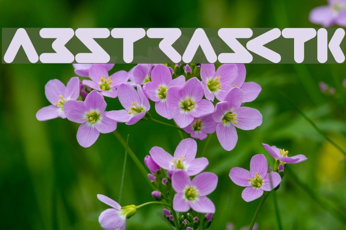 ABSTRASCTIK फ़ॉन्ट examples