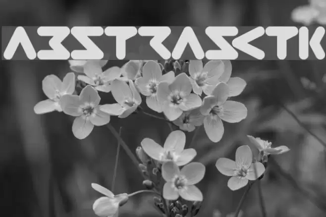 ABSTRASCTIK Font examples