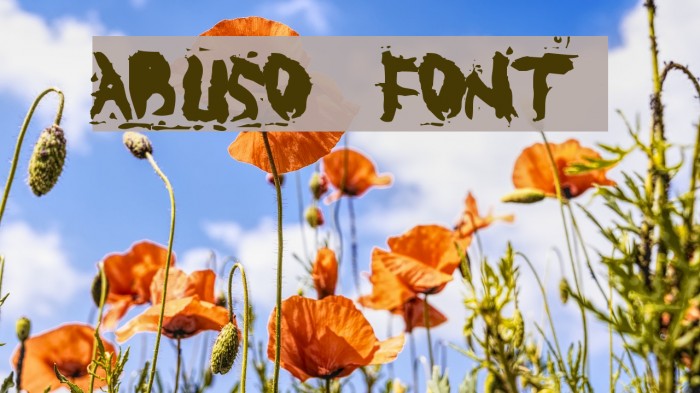 ABUSO Font examples
