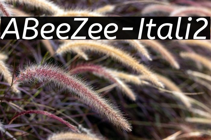 ABeeZee-Italic2 Example 1