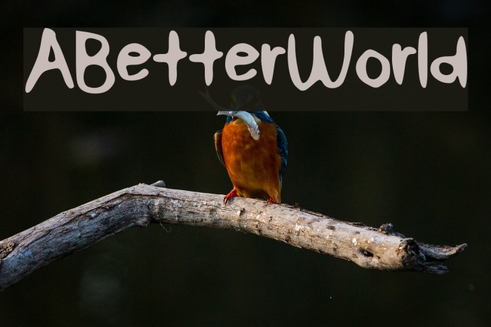 ABetterWorld Font examples