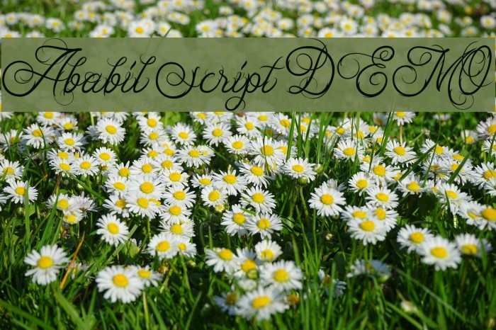 Ababil Script DEMO Font examples