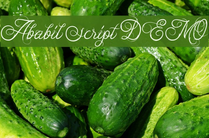 Ababil Script DEMO Font examples