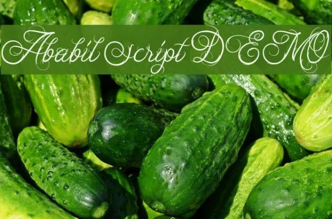Ababil Script DEMO Example 3