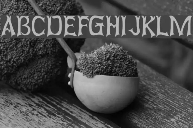 Abagail Regular フォント examples