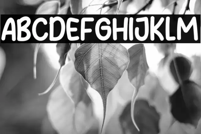 Abalone Smile Font examples