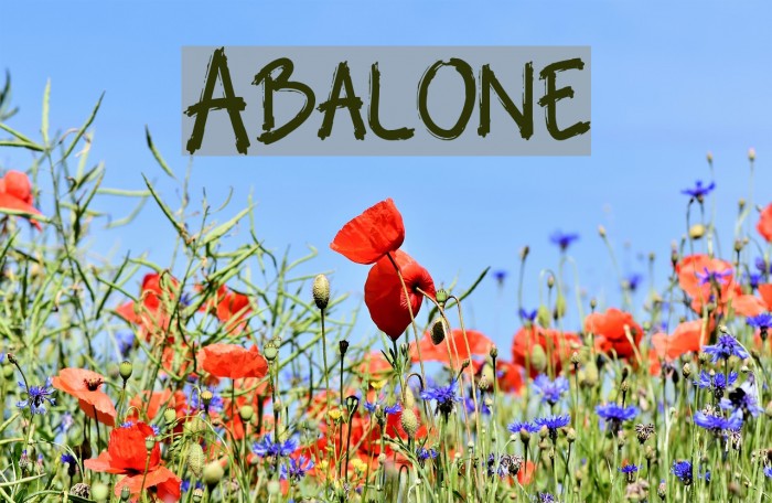 Abalone フォント examples