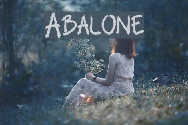 Abalone Example 2