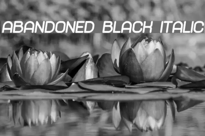 Abandoned Black Italic Font examples