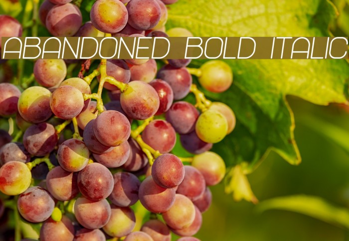 Abandoned Bold Italic Font examples