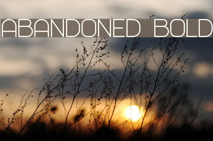 Abandoned Bold Font examples