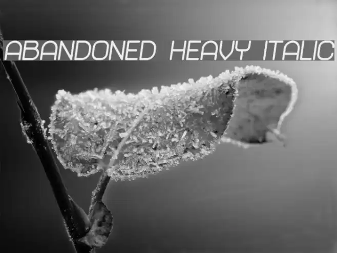 Abandoned Heavy Italic Font examples