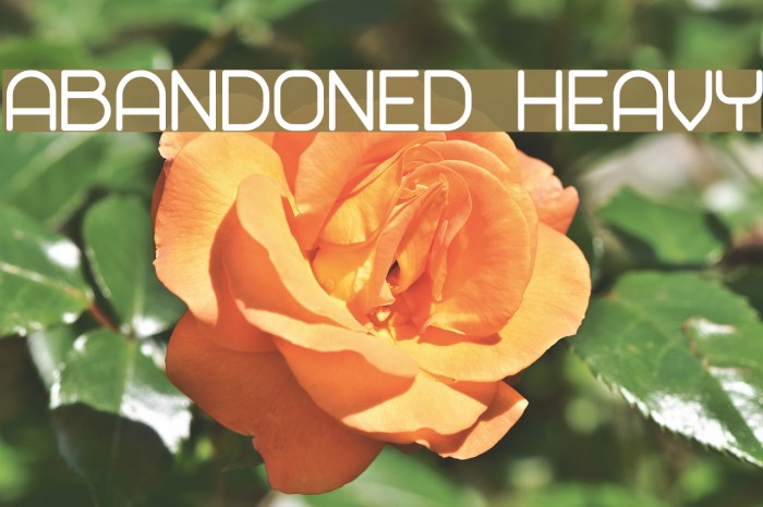 Abandoned Heavy Font examples