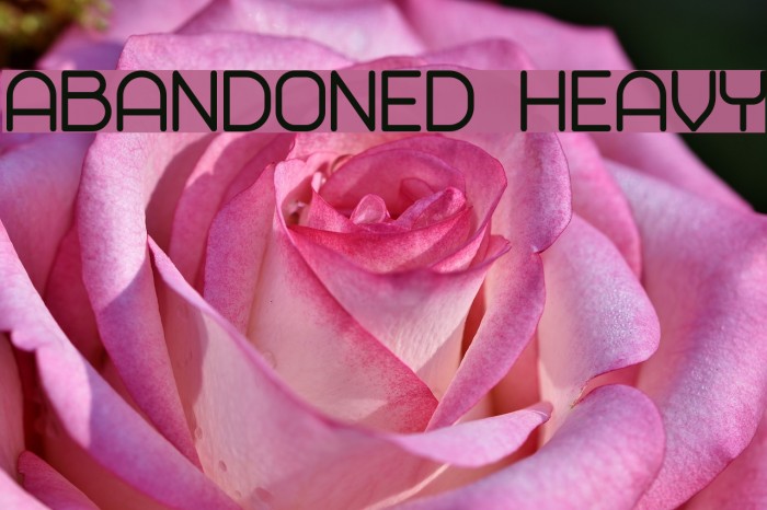 Abandoned Heavy Font examples