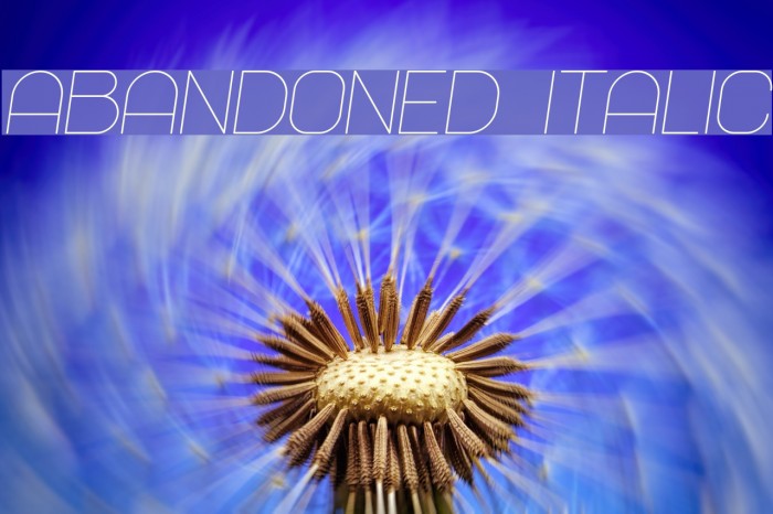 Abandoned Italic Example 1