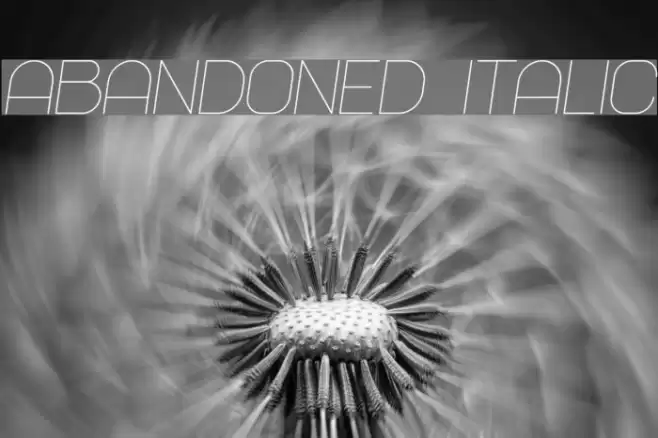 Abandoned Italic Font examples