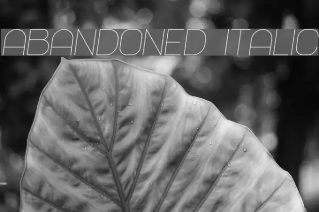 Abandoned Italic Font examples