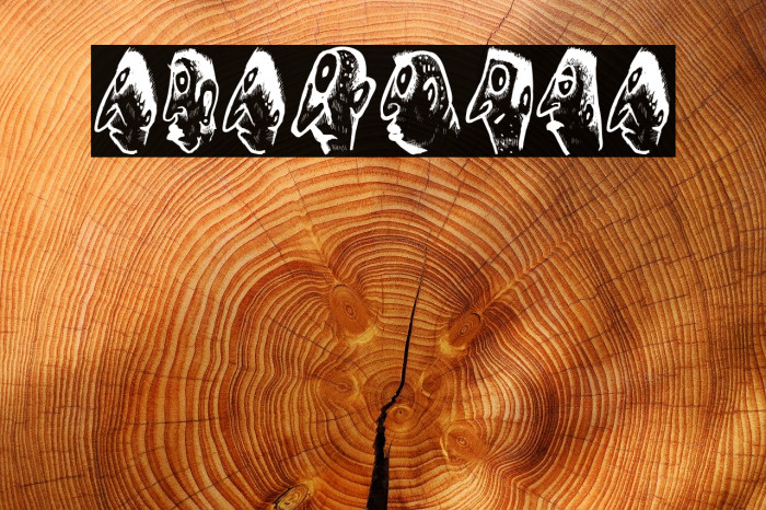 Abantu Regular Font examples