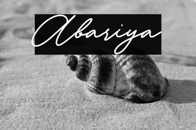 Abariya フォント examples