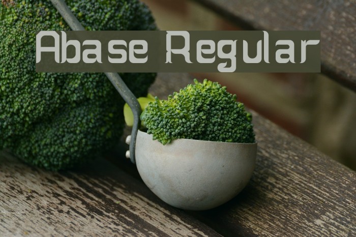 Abase Regular Font examples