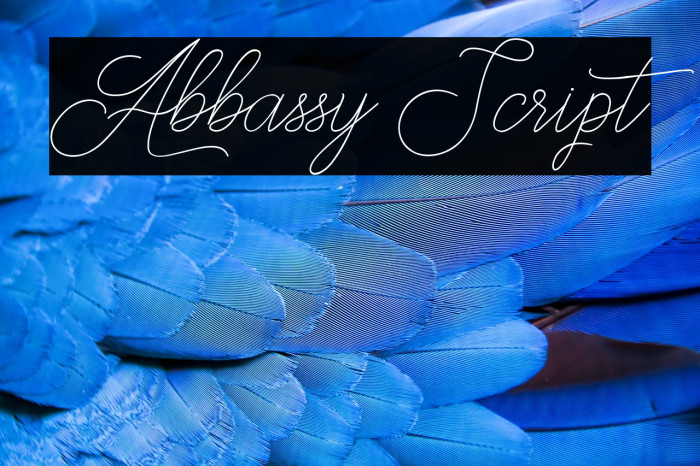 Abbassy Script Example 1