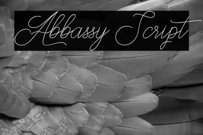 Abbassy Script Fonte examples