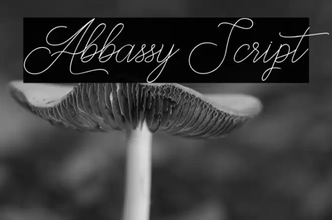 Abbassy Script Fonte examples