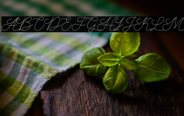 AbbassyScript Example 1