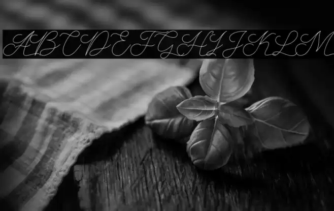 AbbassyScript Font examples