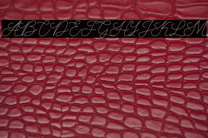 AbbassyScript Example 2