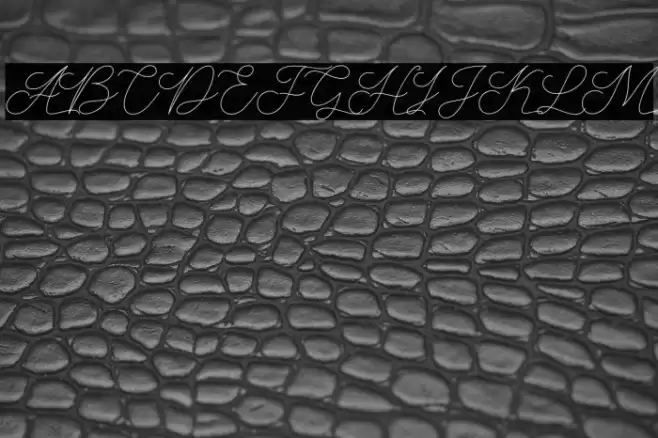 AbbassyScript Font examples