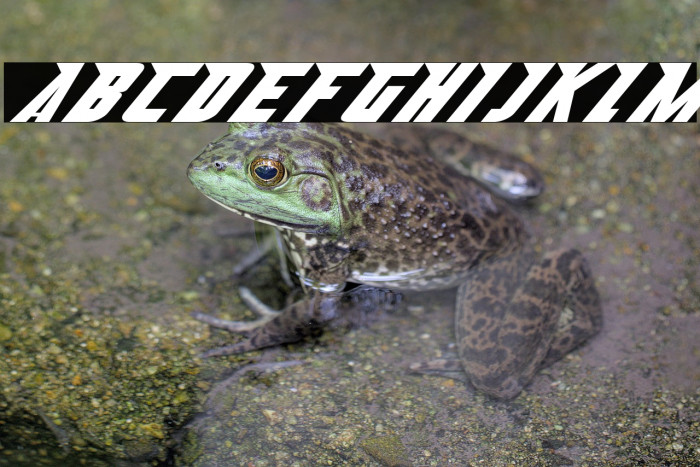 Abberancy-Regular Example 2