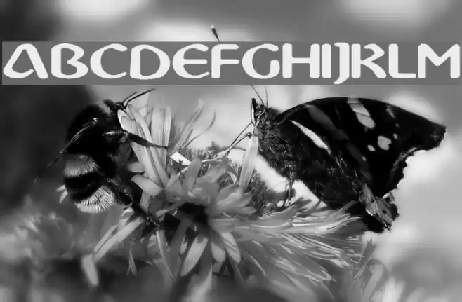 Abbey Medium Extended Font examples