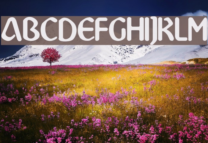 Abbey-Medium Font examples