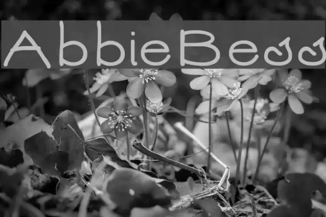 AbbieBess Font examples