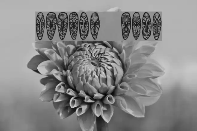 Abbild Regular Font examples