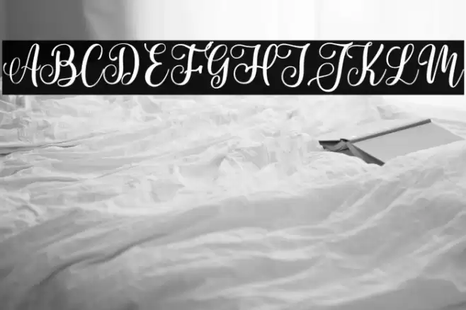 Abby Olla Font examples