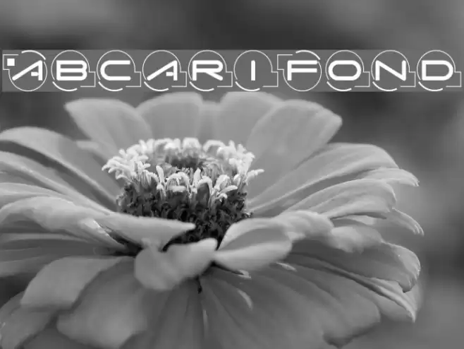 AbcariFond フォント examples