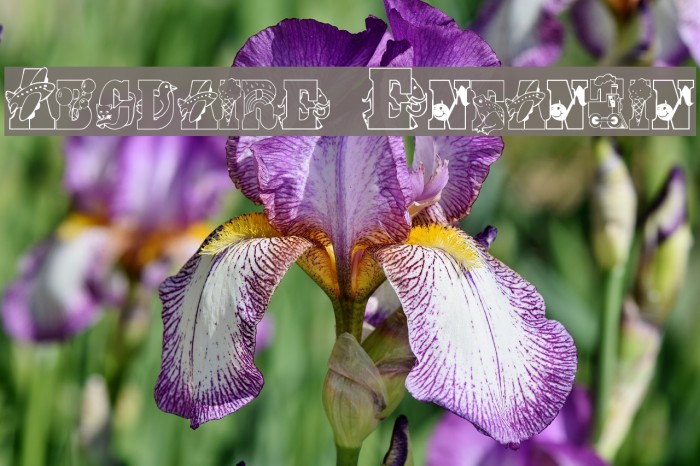 Abcdaire Enfantin Font examples
