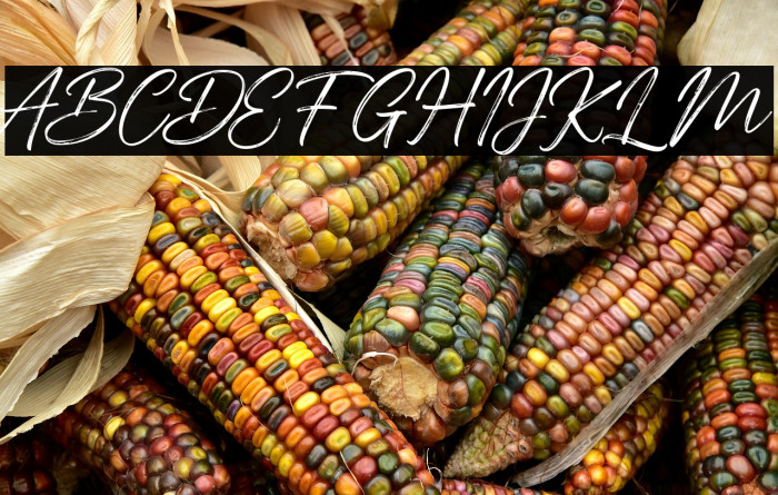 AbdillahFREE Example 1