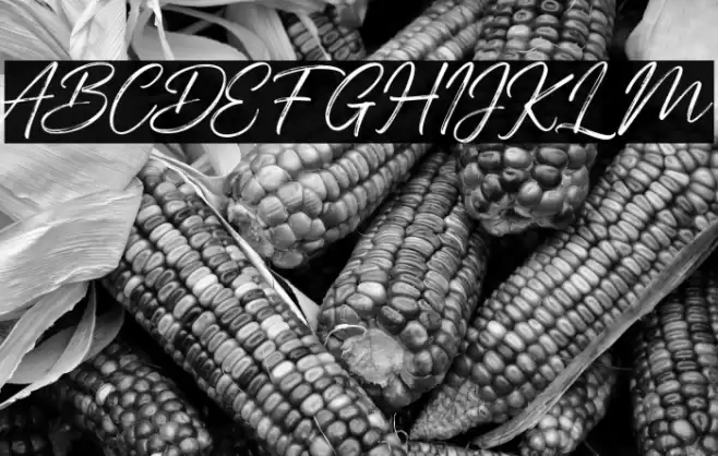 AbdillahFREE Schriftart examples