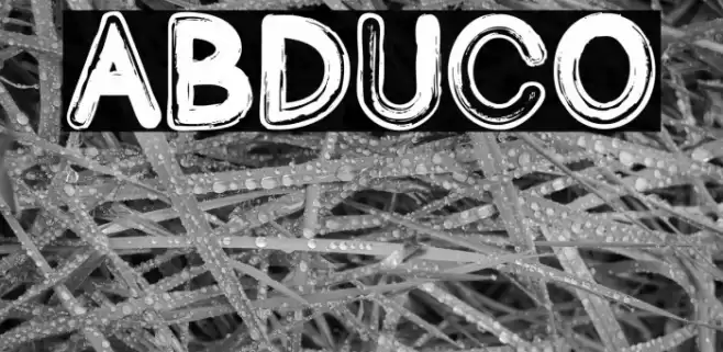 Abduco Font examples