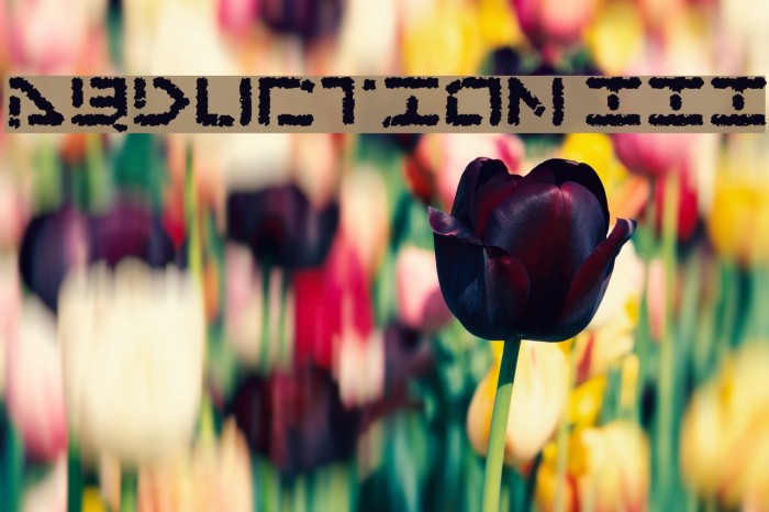 Abduction III Example 1