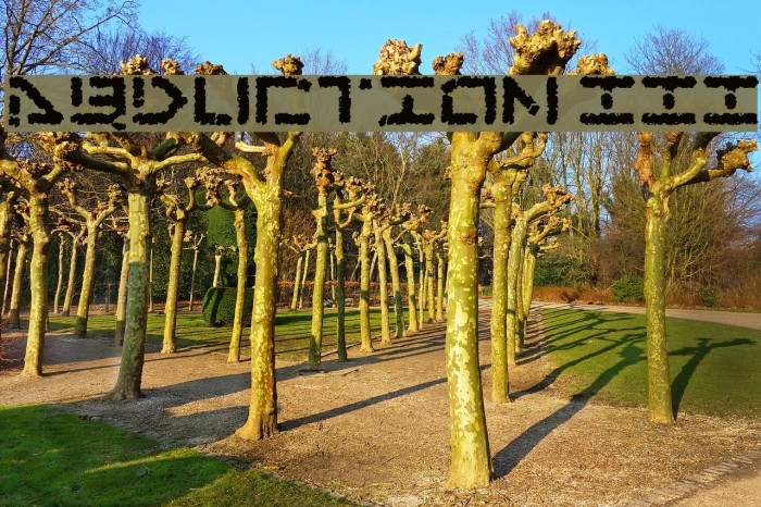 Abduction III Example 3